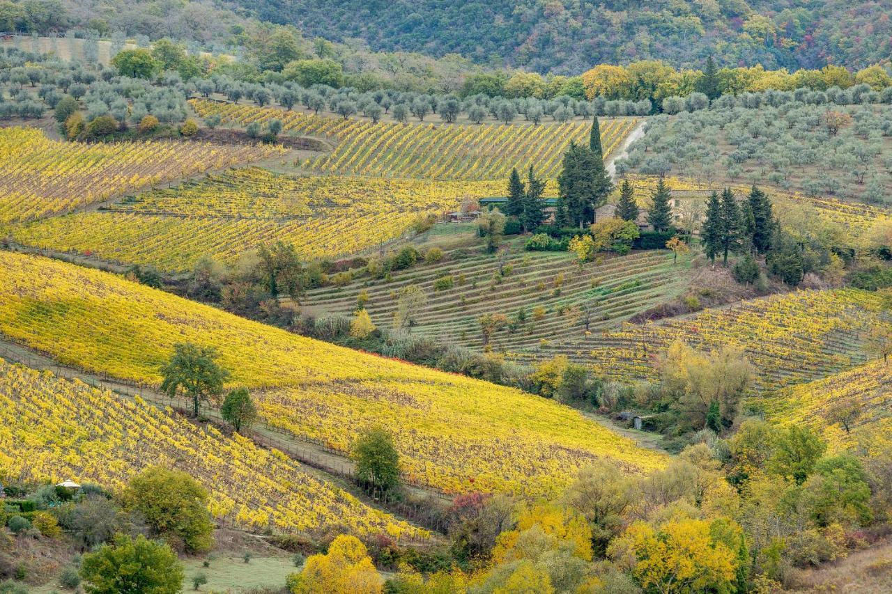 Bed and Breakfast Terre Di Baccio Greve in Chianti Exterior foto
