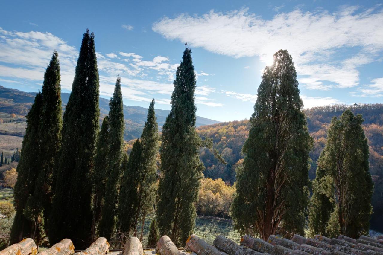 Bed and Breakfast Terre Di Baccio Greve in Chianti Exterior foto