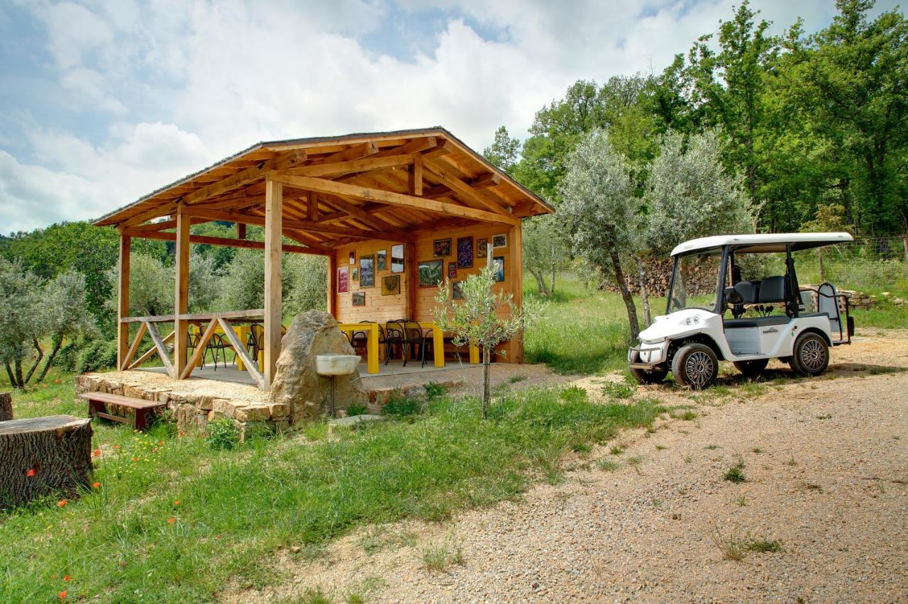 Bed and Breakfast Terre Di Baccio Greve in Chianti Exterior foto