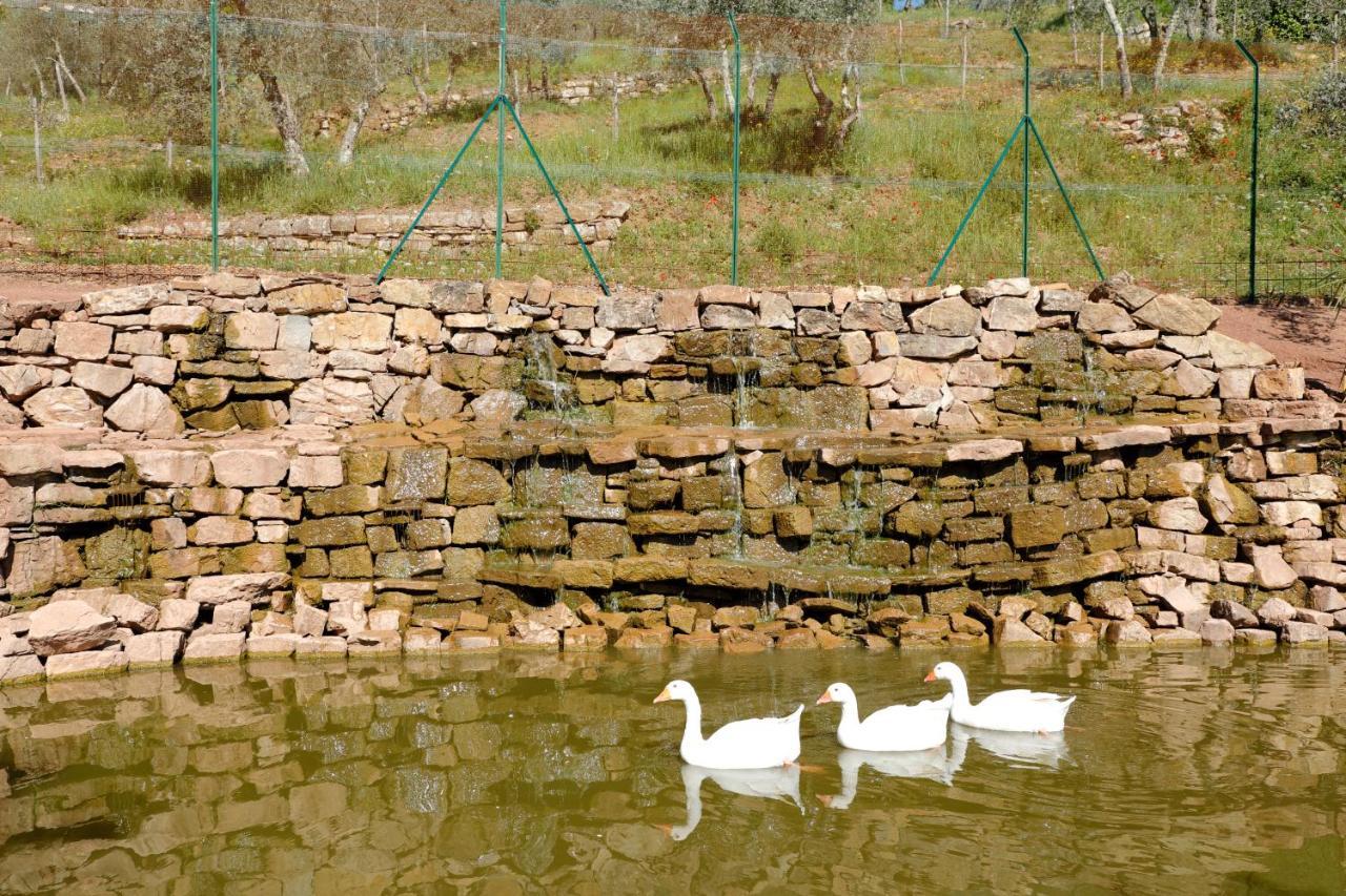 Bed and Breakfast Terre Di Baccio Greve in Chianti Exterior foto