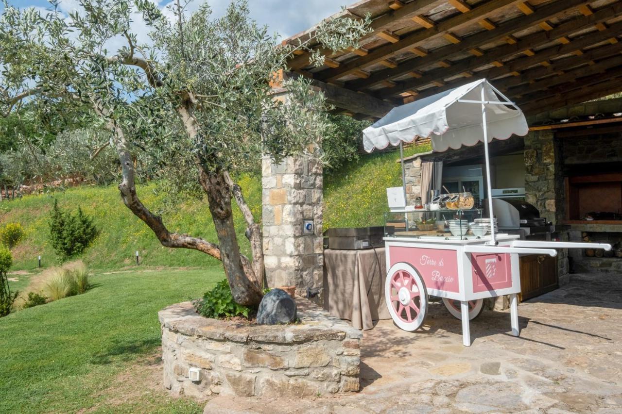 Bed and Breakfast Terre Di Baccio Greve in Chianti Exterior foto